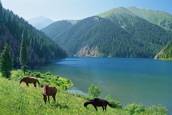 Казахстан летом