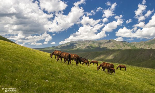 Жайлау Казахстана