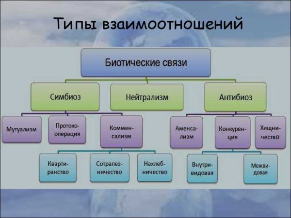 Типы биотических взаимодействий