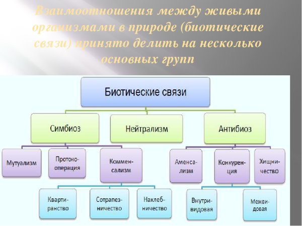 Биотические связи в природе таблица