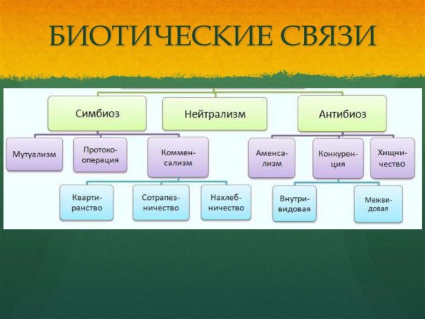 Биотические связи