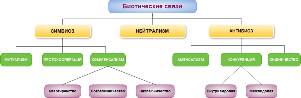 Взаимоотношения между организмами схема