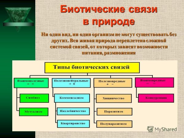 Биотические связи в природе
