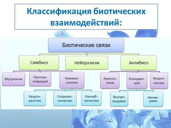 Таблица классификация биотических взаимоотношений
