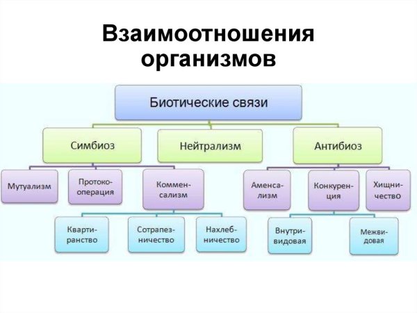 Биотические взаимоотношения