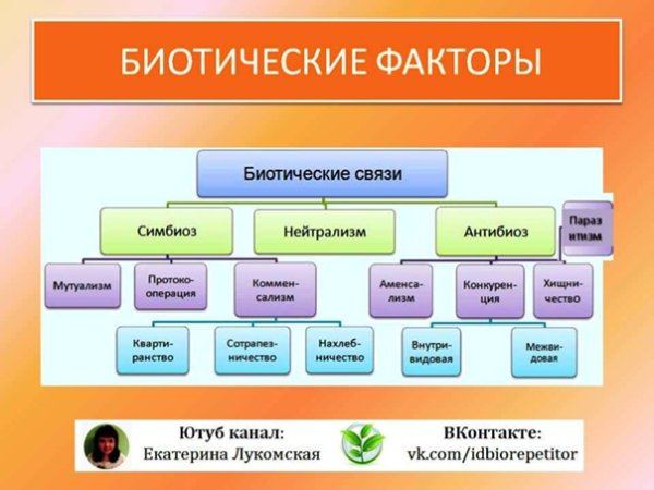 Биотичнскпя связи Сема + -