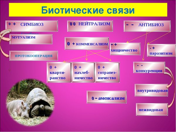 Биотические связи
