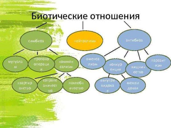 Биотические связи в природе таблица