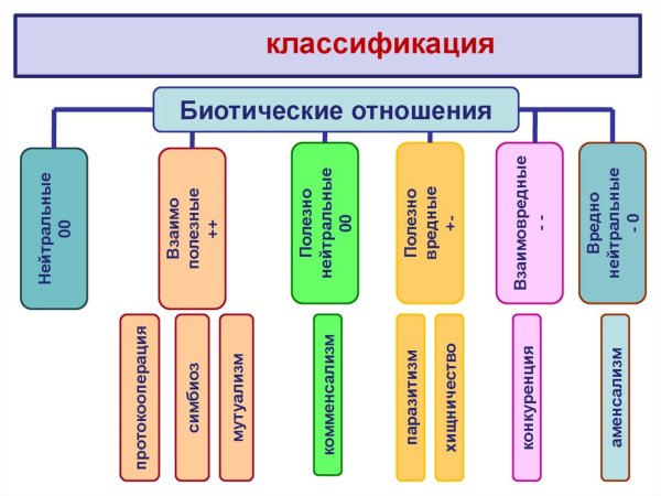 Таблица биотических взаимоотношений