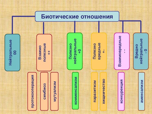 Формы биотических взаимоотношений между организмами