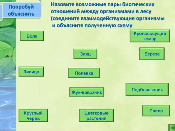 Конкуренция Тип взаимоотношений