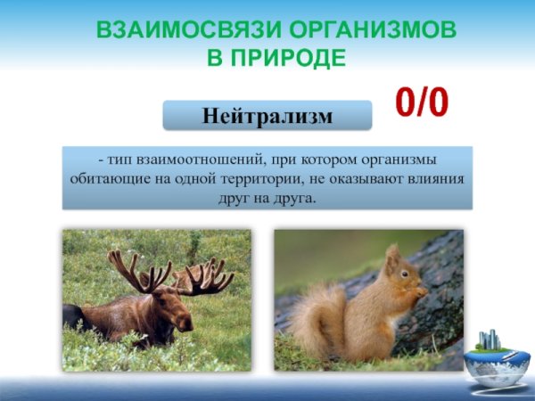 Биотические отношения комменсализм