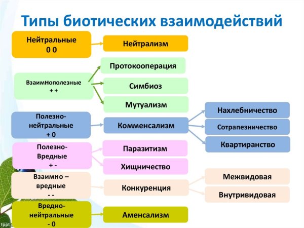 Отношения организмов в биоценозах