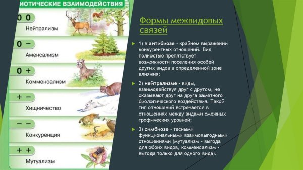 Типы симбиотических взаимоотношений