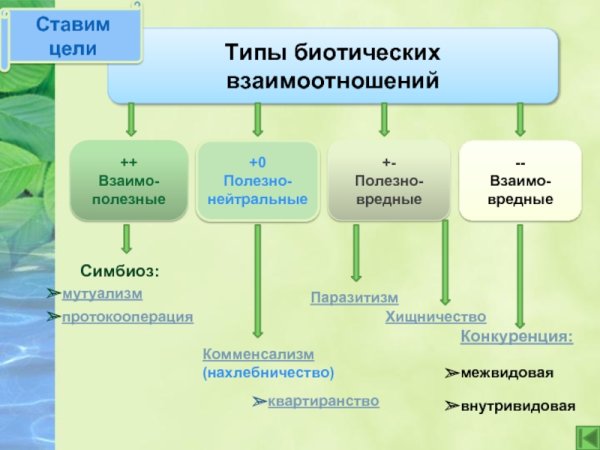 Экологические взаимоотношения организмов