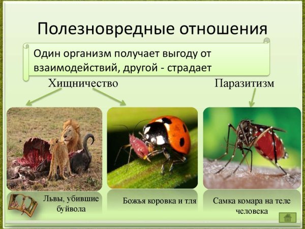 Форические Фабрические топические трофические