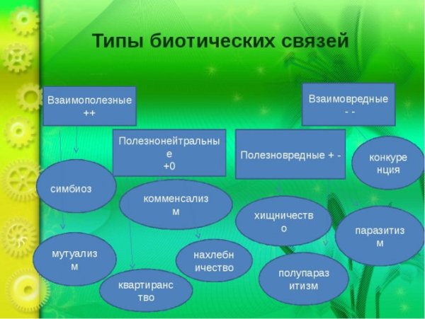 Типы взаимодействия между живыми организмами схема