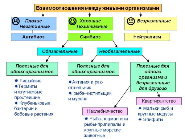 Типы взаимодействия между живыми организмами
