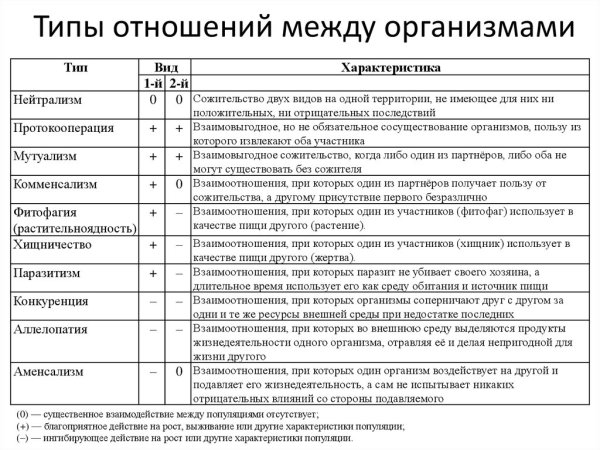 Виды связей в природе