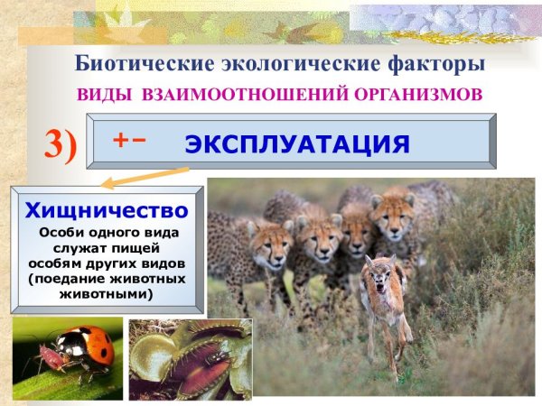 Нейтрализм симбиоз