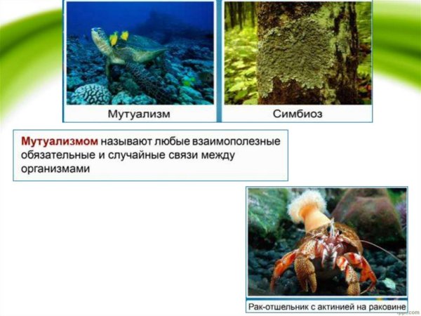 Мутуализм комменсализм