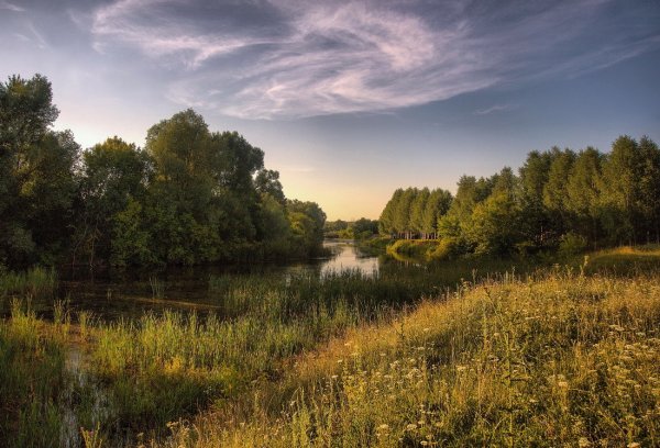 Красивая природа средней полосы