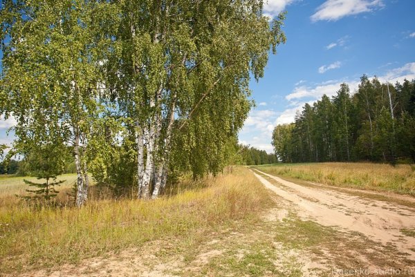 Природа среднерусской полосы
