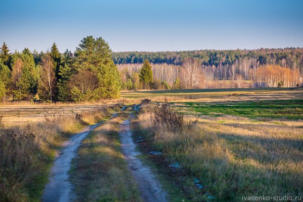 Пейзаж средней полосы