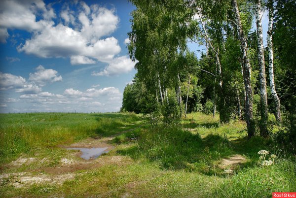 Просторы средней полосы России