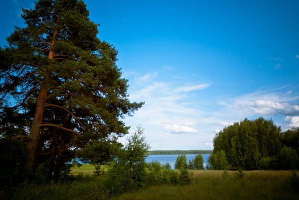 Луг Вологодской области