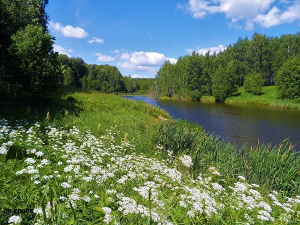 Русская природа средней полосы