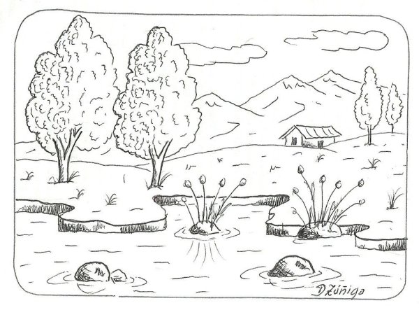 Раскраска пейзаж