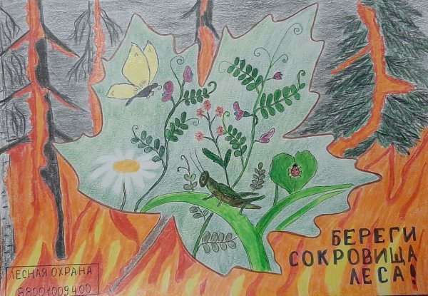 Охрана лесов от пожаров плакаты