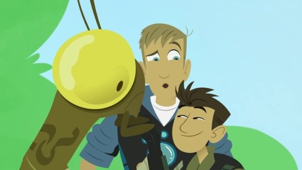Wild Kratts Мартин