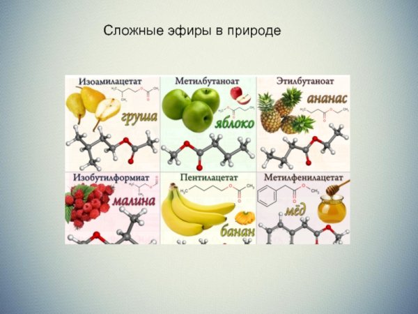 Нахождение в природе сложных эфиров