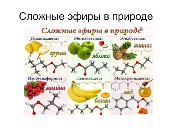 Нахождение в природе сложных эфиров