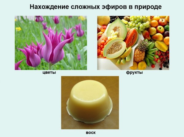 Нахождение в природе сложных эфиров