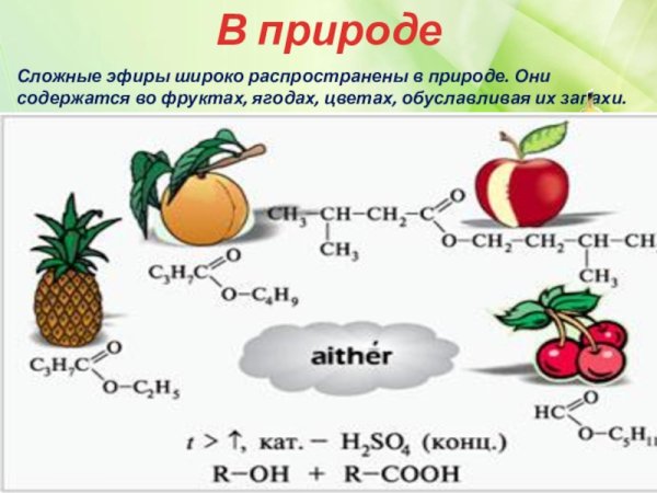 Фруктовые запахи сложных эфиров