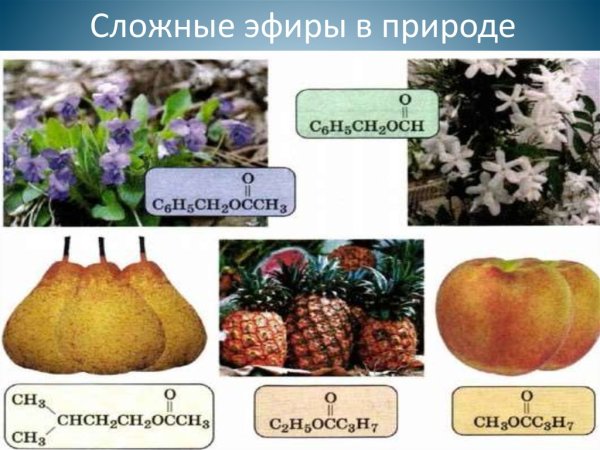 Нахождение в природе сложных эфиров