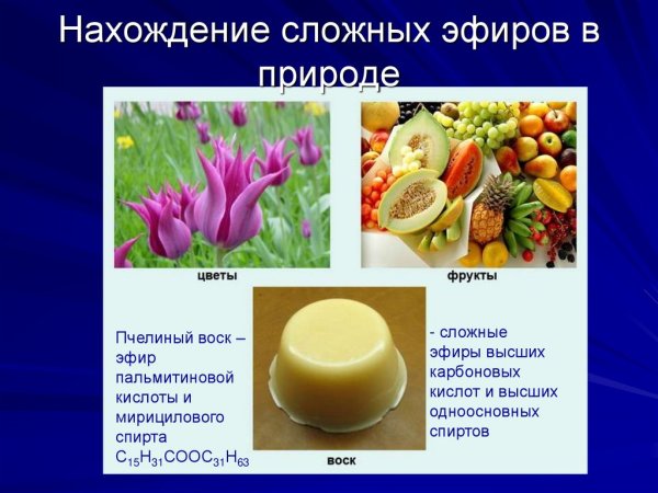 Сложные эфиры карбоновых кислот и спиртов нахождение в природе