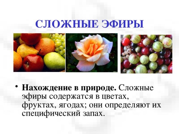 Нахождение в природе сложных эфиров и жиров