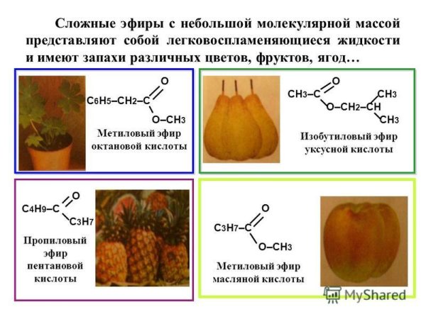 Что представляет собой сложные эфиры