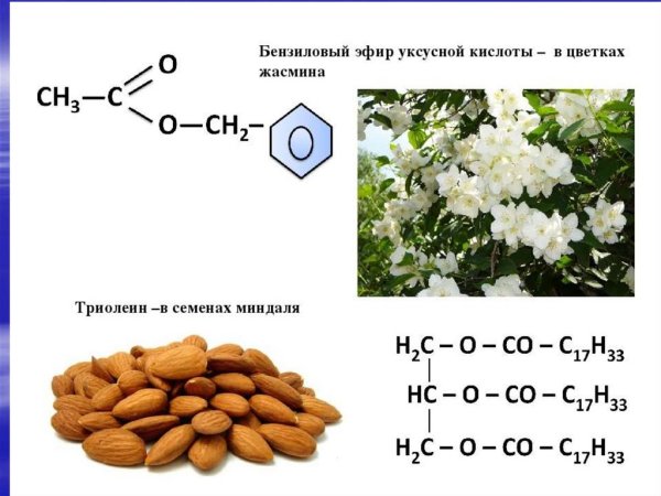 Этиловый эфир 2-метилбутановой кислоты