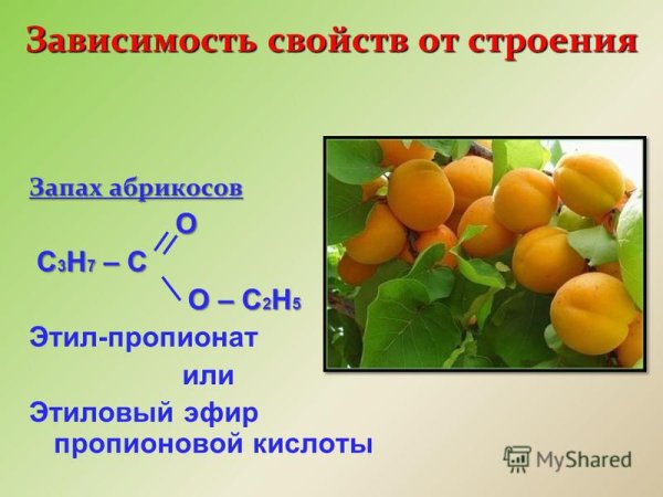 Нахождение в природе сложных эфиров