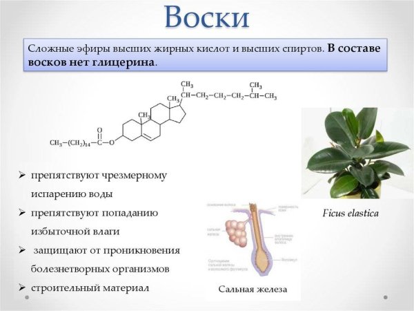 Применение сложных эфиров