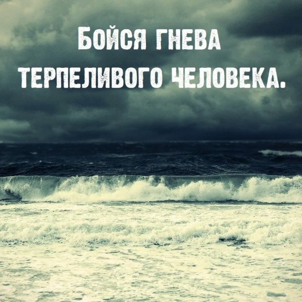 Природа без людей