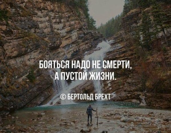 Красивые душевные фразы
