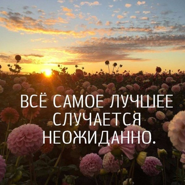 Море цитаты красивые