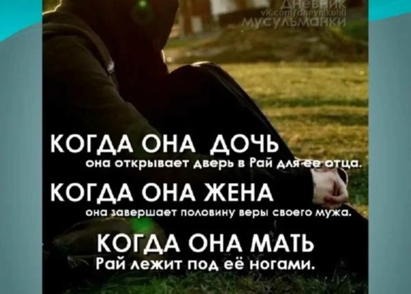 Дерево в лучах солнца