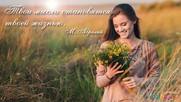 Цените верность и дружбу